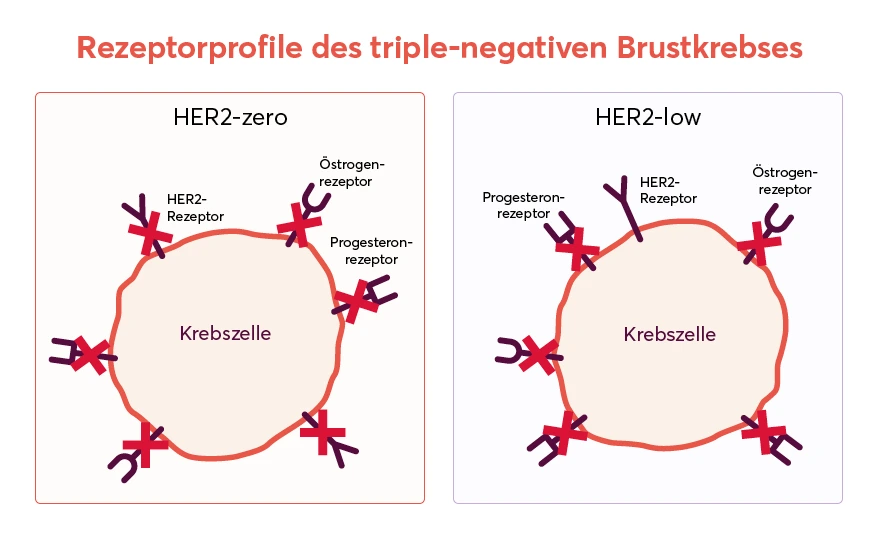 Schematische Darstellung der TNBC-Rezeptorprofile